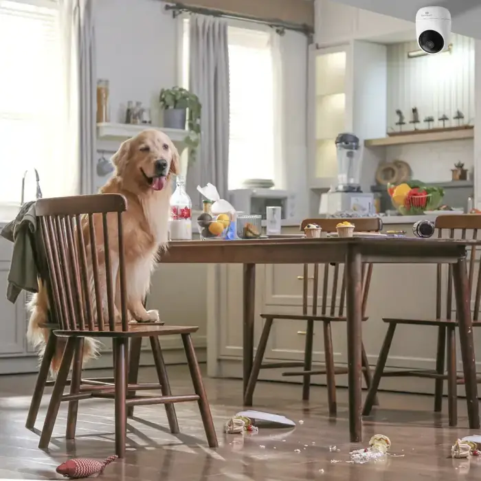 Dreame Navo Care 1 Incam indoor camera - white Foto 9