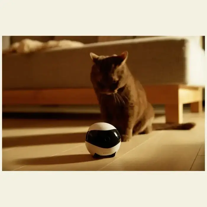 Intelligent companion robot ENABOT   EBO SE Photo